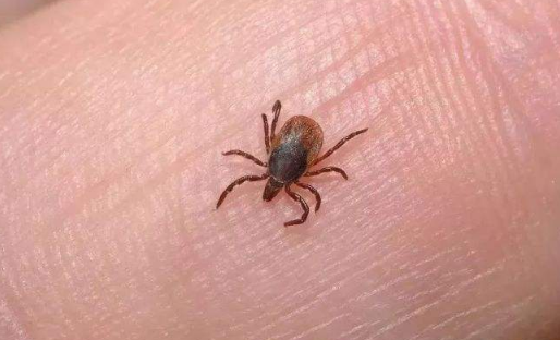 ����涣ҧ��Ҫ�û����� �����ҧ��һ��������